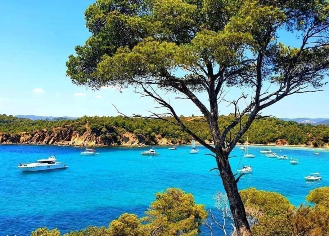 Horizon 5 Pied Dans L'Eau Apartamento Le Lavandou Exterior foto